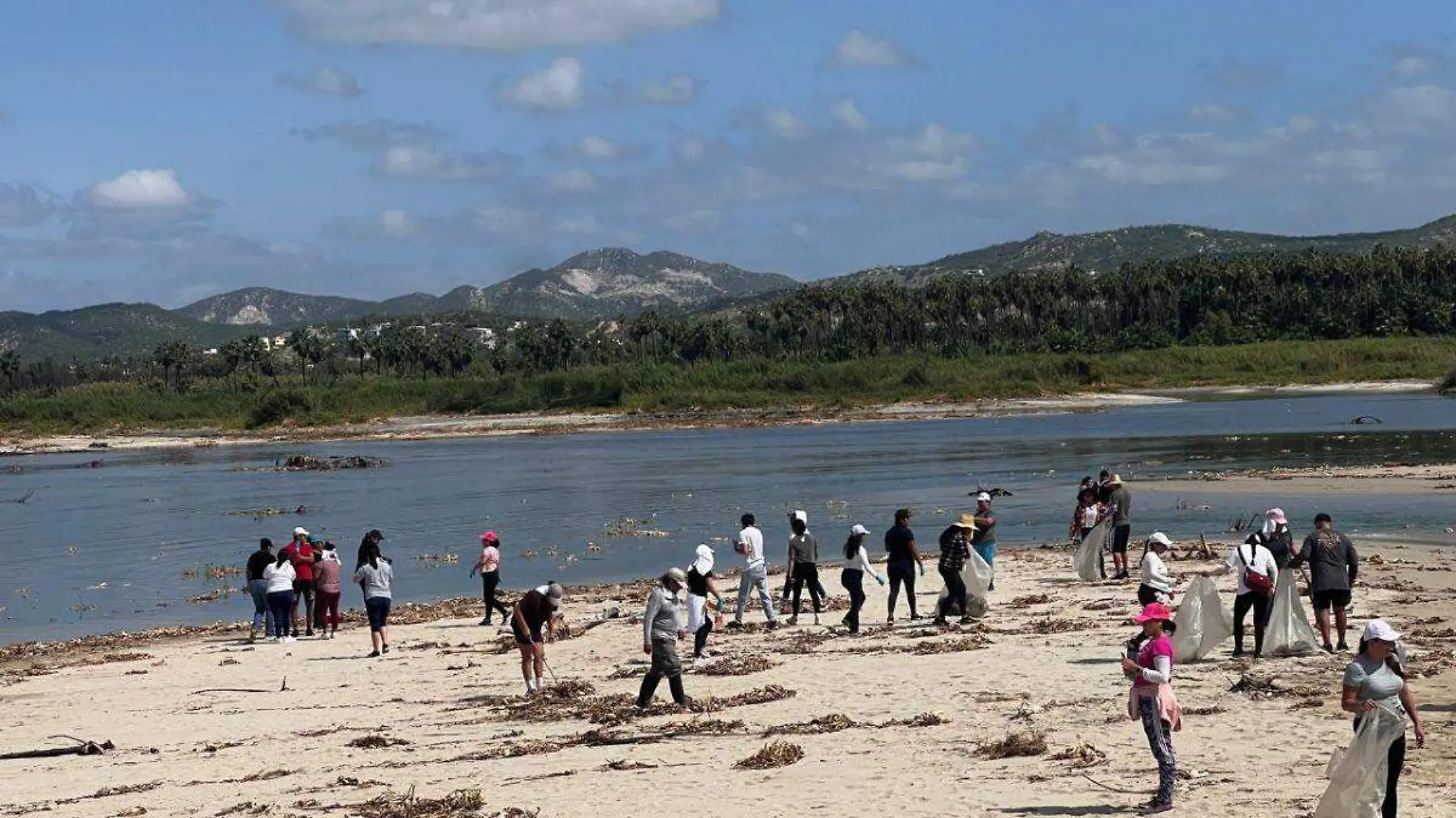 limpieza del estero de san jose del cabo